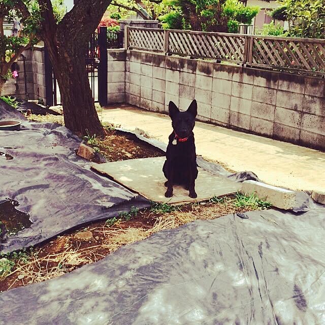 h3さんの実例写真