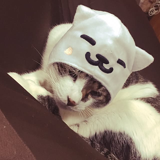 namiさんの実例写真