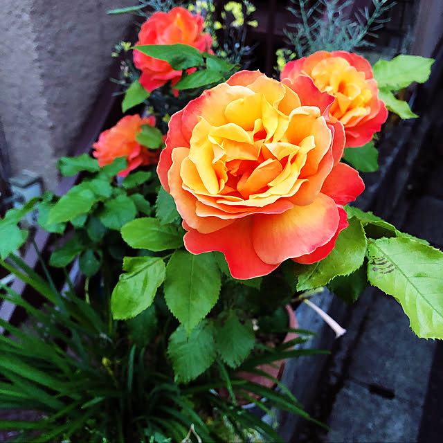 hirominさんの実例写真