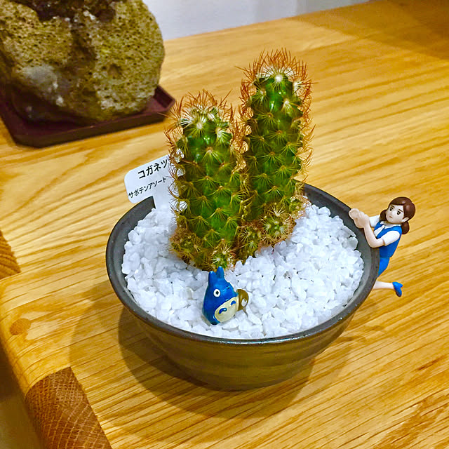 ikeyanさんの実例写真
