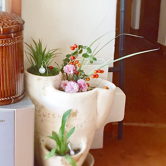 y.k1026erumamaさんの実例写真
