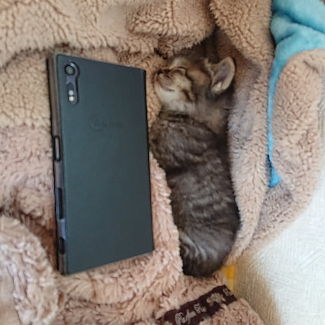 Masumiさんの実例写真