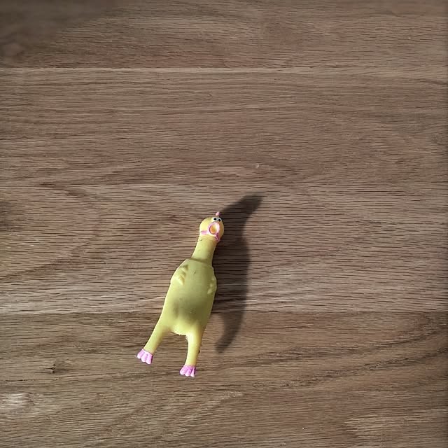 sakiさんの部屋