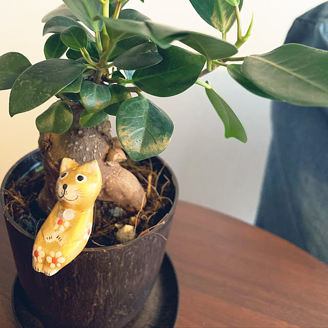 Namakemonoさんの実例写真