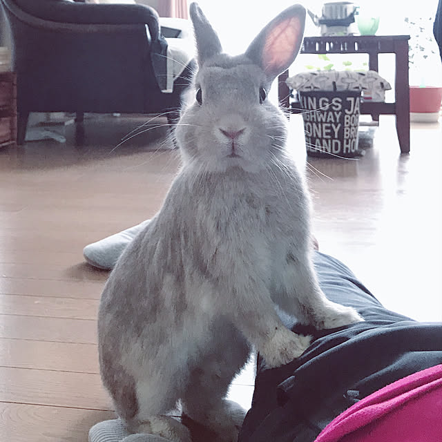 Satokoさんの実例写真