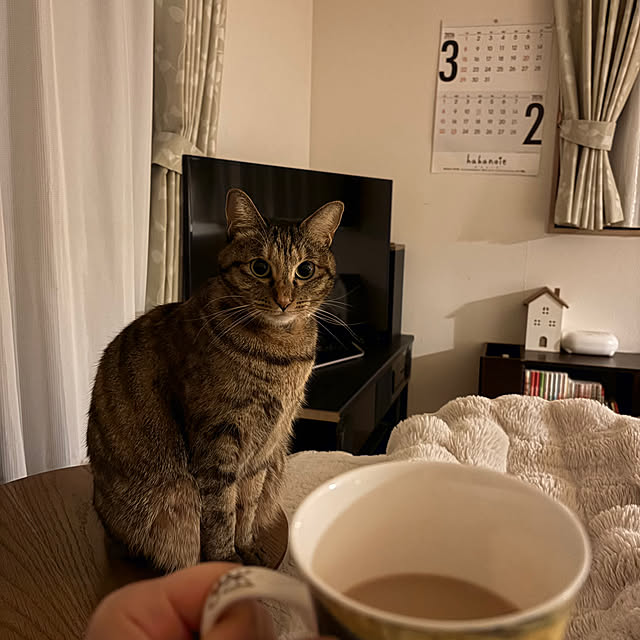 chiiさんの実例写真