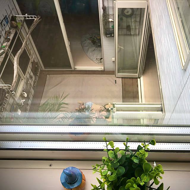 Yukoさんの実例写真