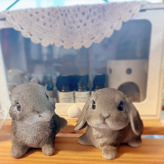 rikumamaさんの実例写真