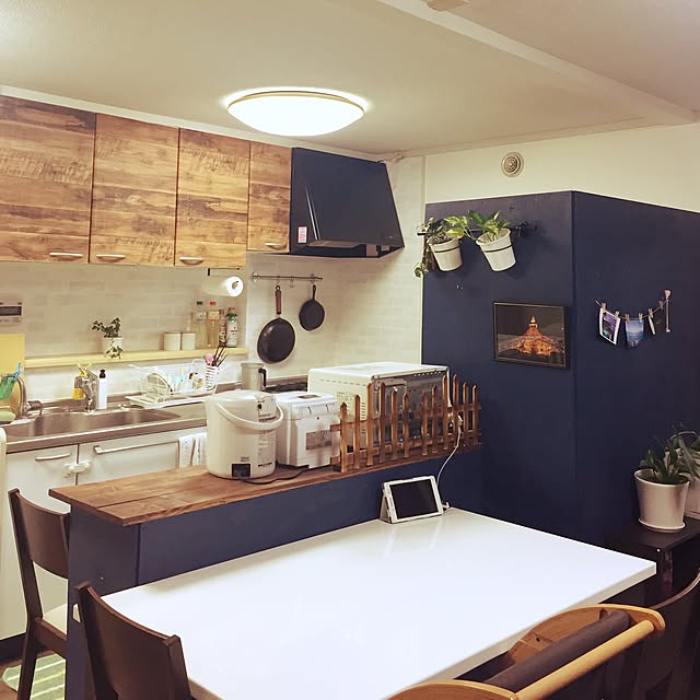 キッチン/IKEA/DIY/観葉植物のインテリア実例 - 2016-10-17 08:42:52