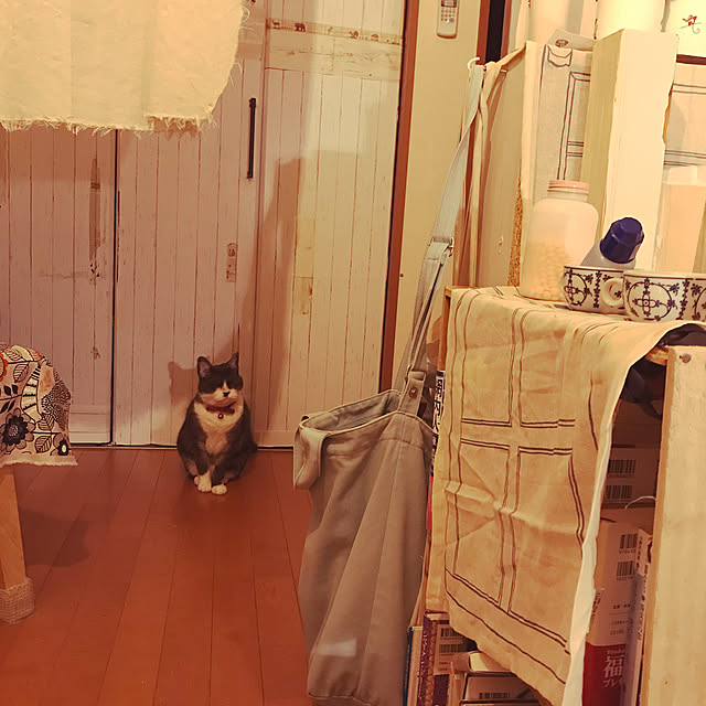 sakuさんの実例写真