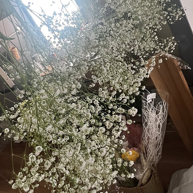 kokedamaさんの実例写真