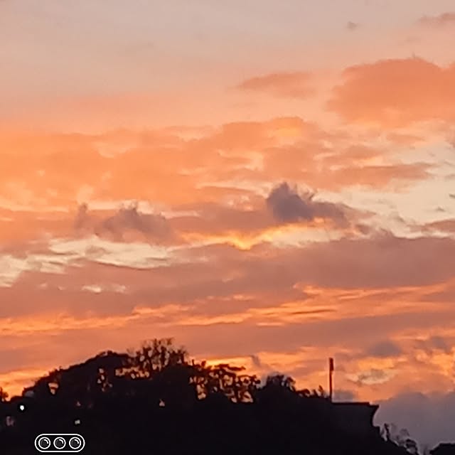 hakata-baさんの部屋