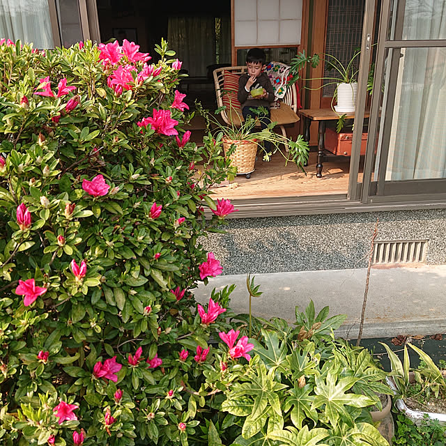 koppeさんの実例写真