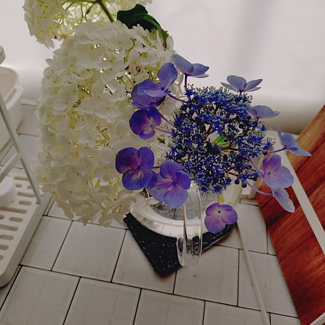 ameamekaasanさんの部屋