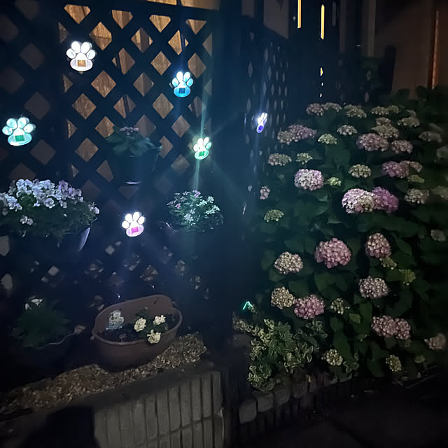 ritsukoさんの部屋