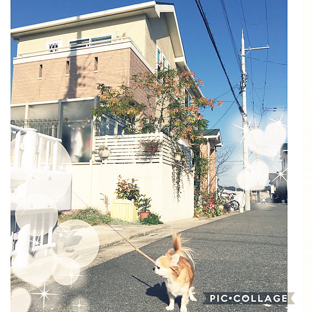 niji7さんの実例写真