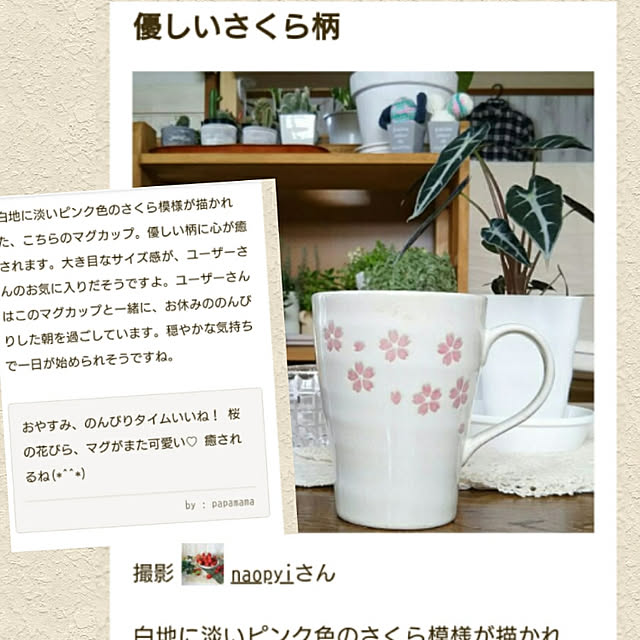 naopyiさんの実例写真