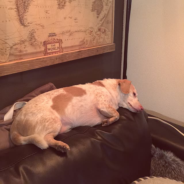 Risaさんの実例写真