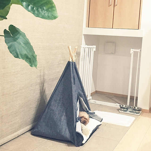 kilala_pさんの実例写真