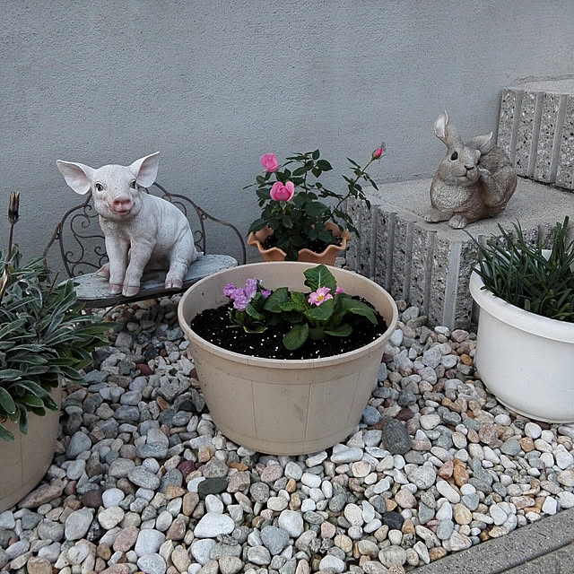 G.Mさんの実例写真