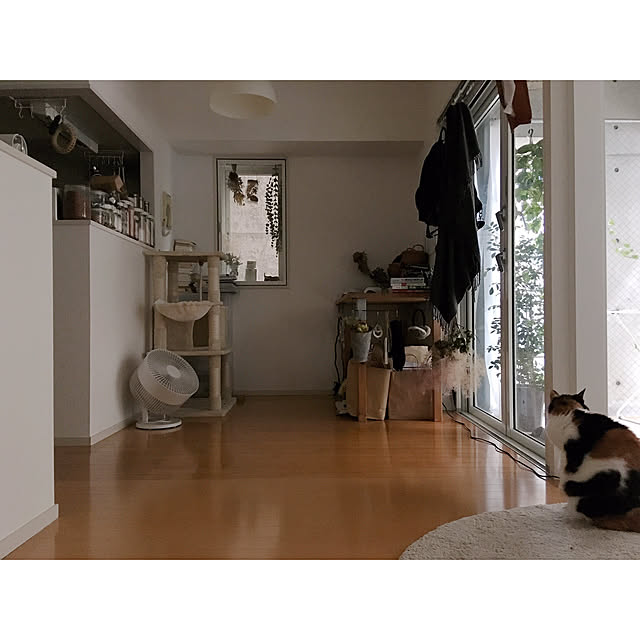 warashibeさんの実例写真