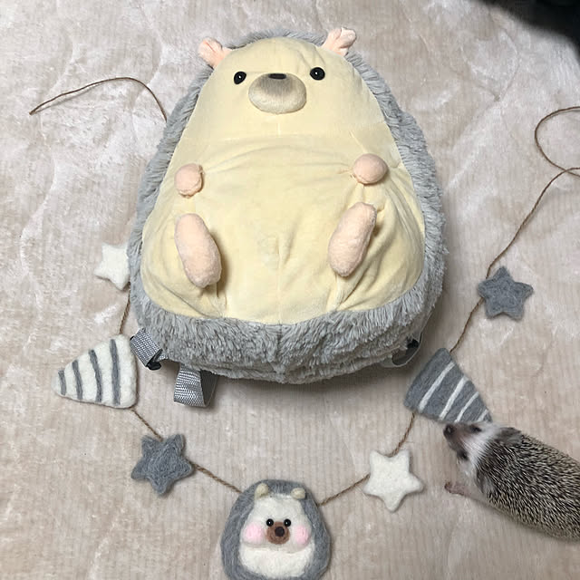 miiさんの実例写真