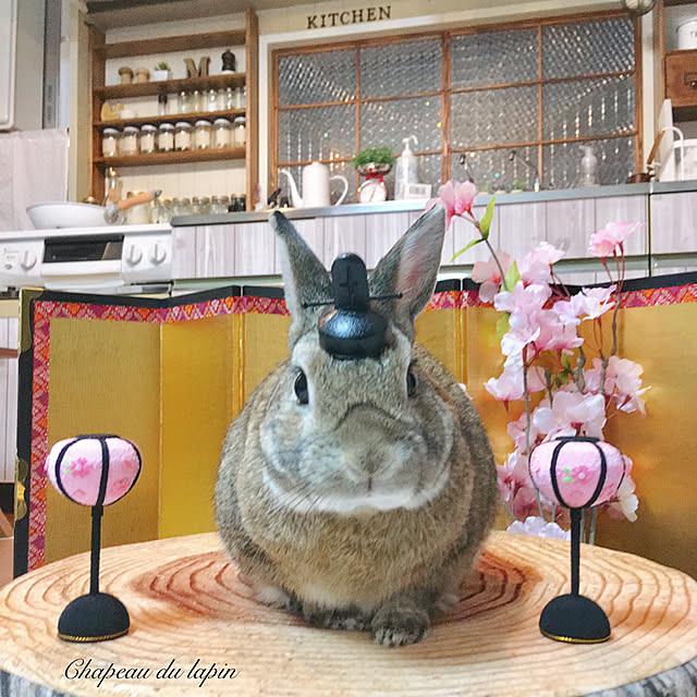 mashiさんの実例写真