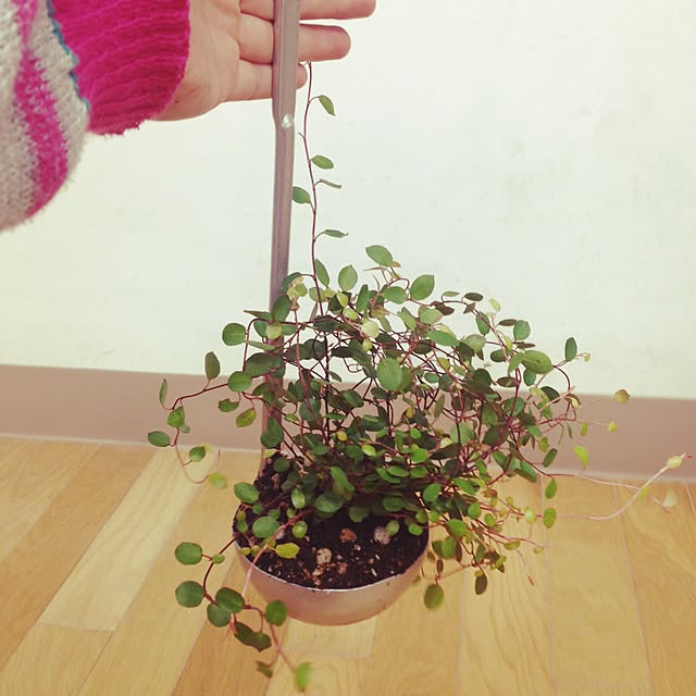 Madさんの実例写真
