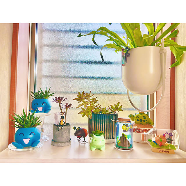 miao-kinさんの実例写真