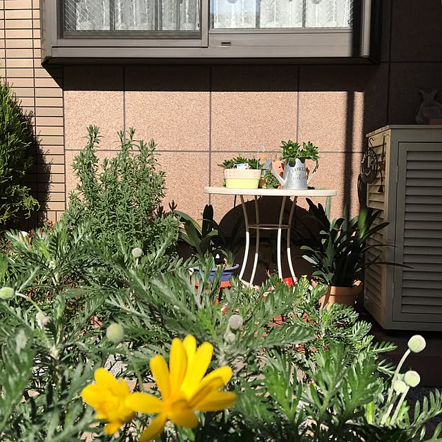 puriyuzuさんの実例写真