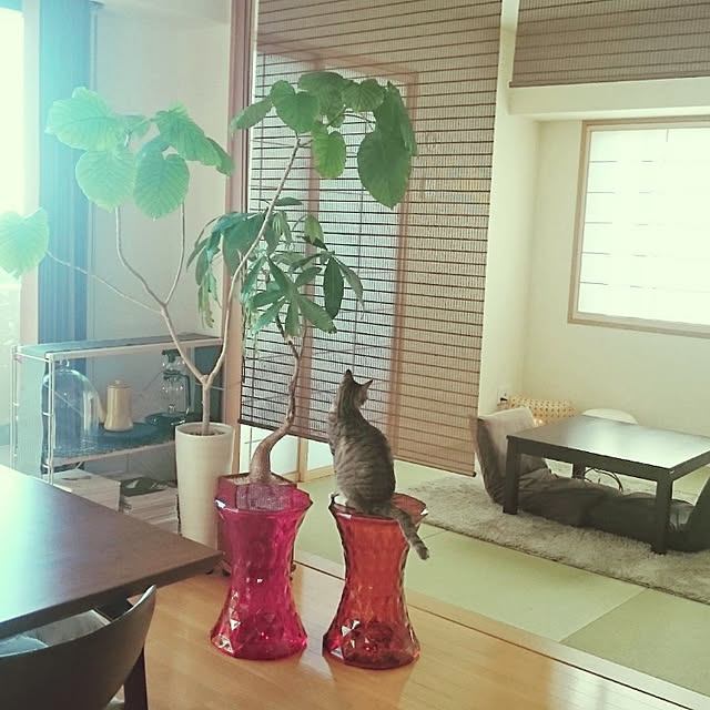 mitu_masaoさんの実例写真