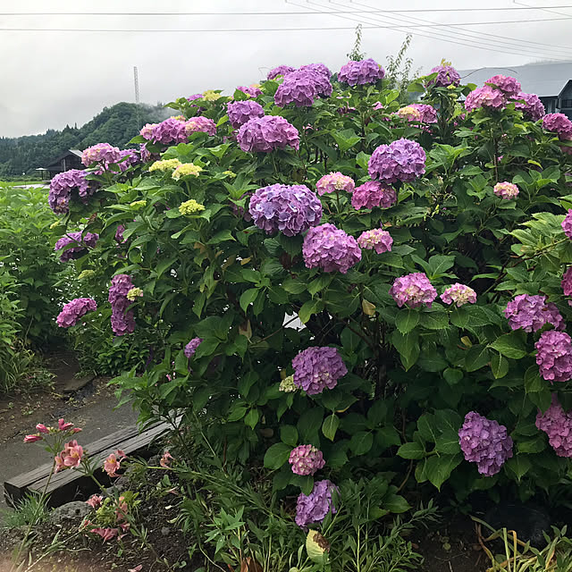 aoinokimiさんの部屋