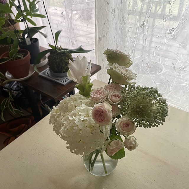 nattunさんの部屋