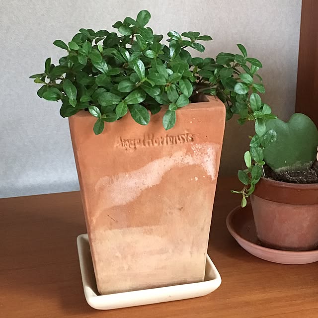 tomoさんの実例写真