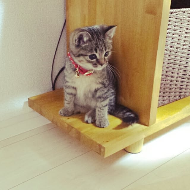 t-famさんの実例写真