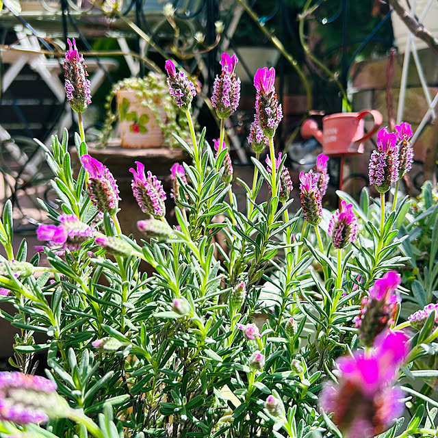 sunabaさんの部屋