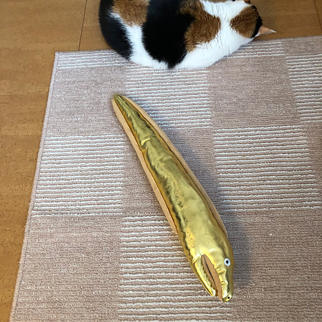 kanaさんの部屋