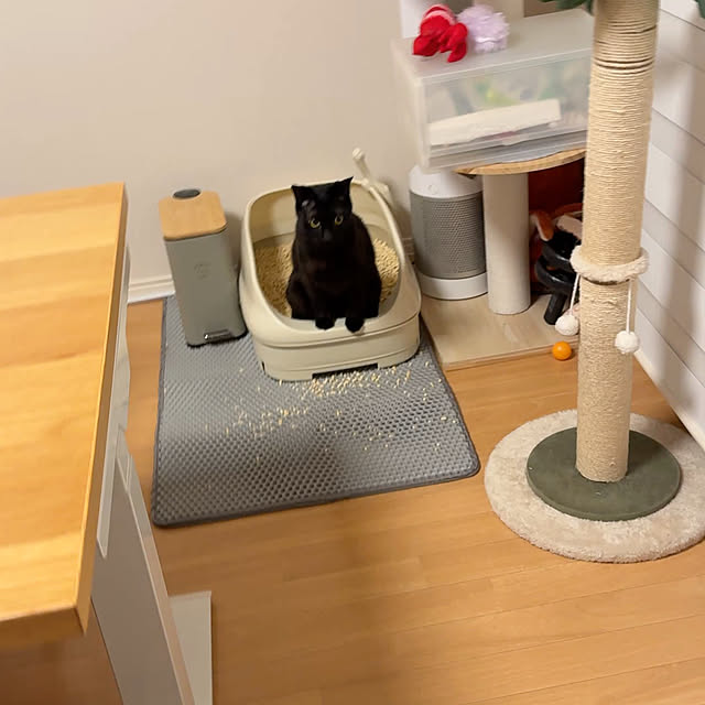 rioさんの実例写真