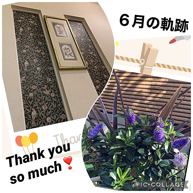 yukarin-gardenさんの実例写真