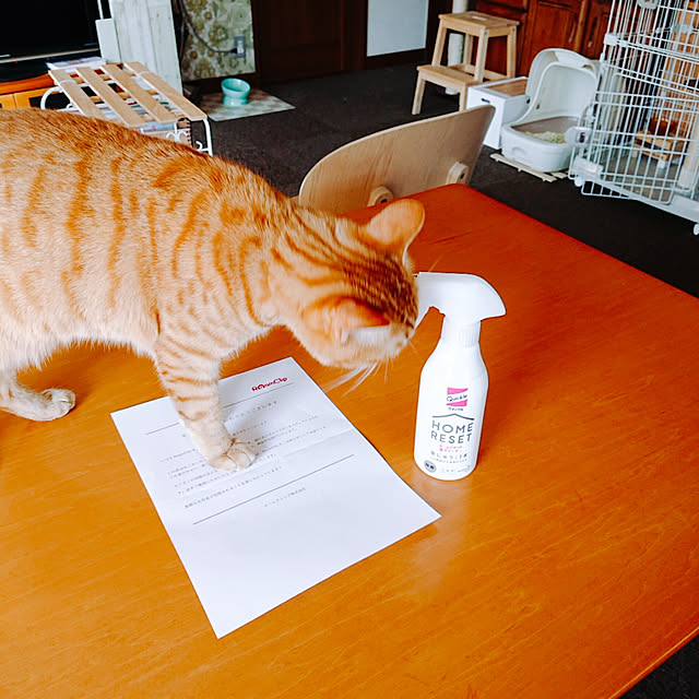 kikiさんの実例写真