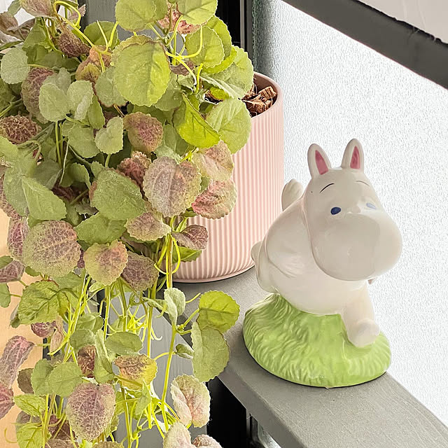 kiki_nekkoさんの実例写真