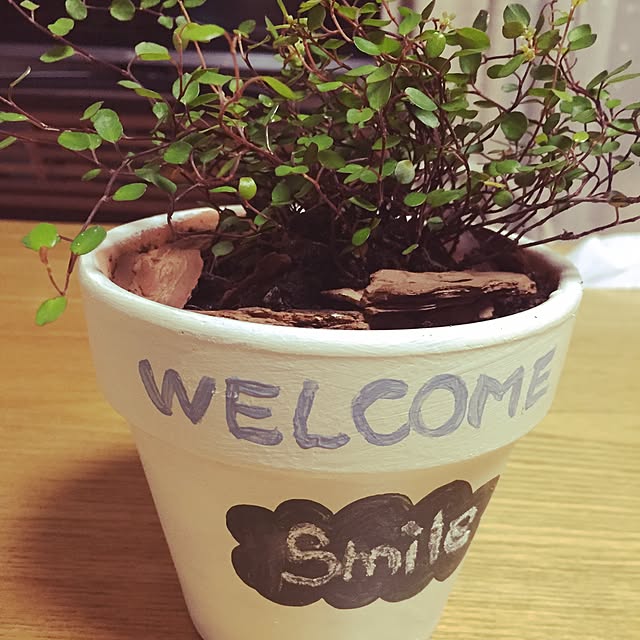 springさんの実例写真