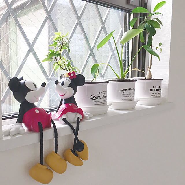 e.さんの実例写真