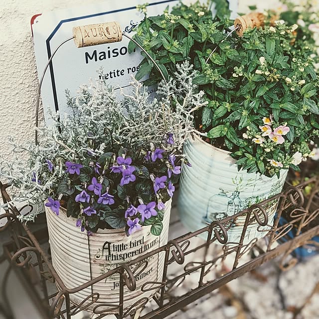 purpureさんの部屋