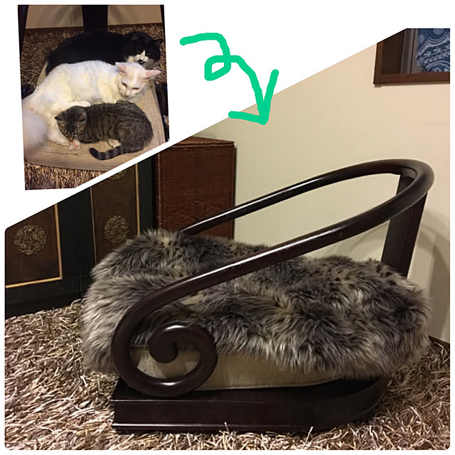 shigimiさんの実例写真