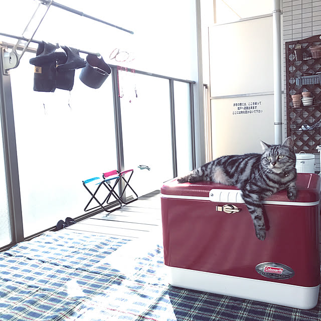hiyupan88さんの実例写真