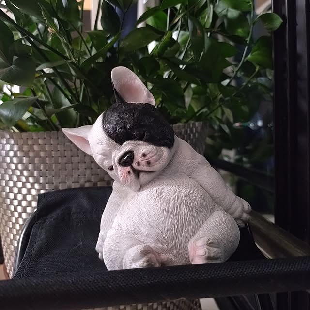 NOAHさんの部屋