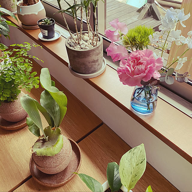 flower8823さんの実例写真