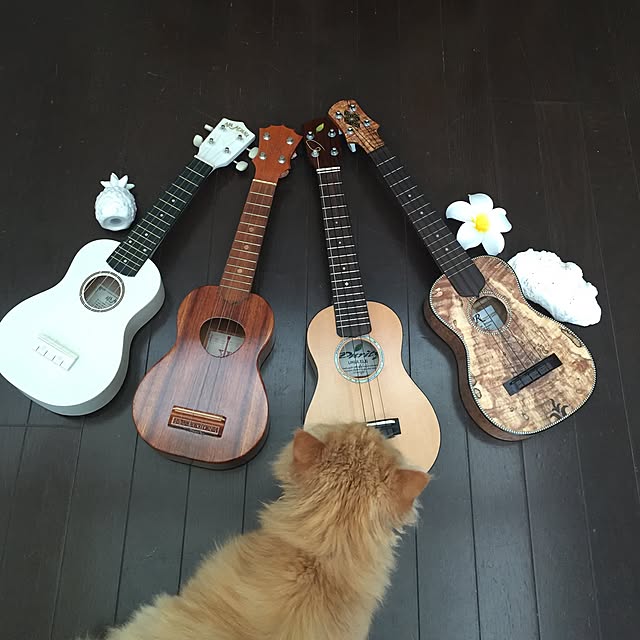 biwakoさんの実例写真