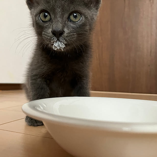 nekoさんの実例写真